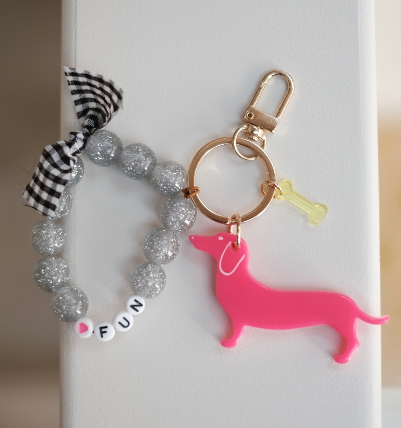 Aston bag jewelry "fun"
