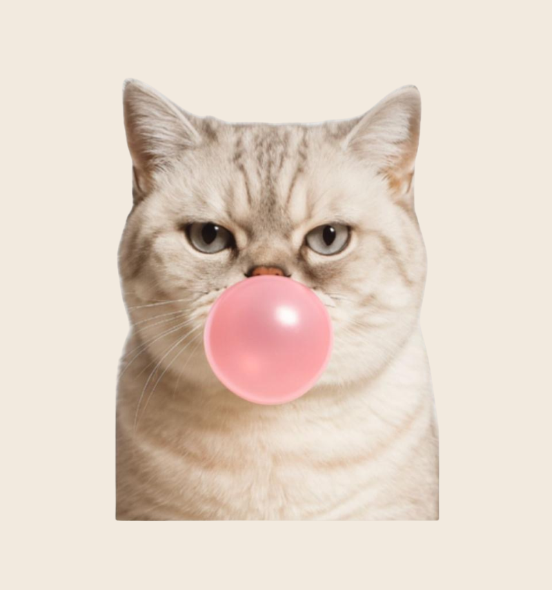 Régine : "je ne suis pas à vendre!"