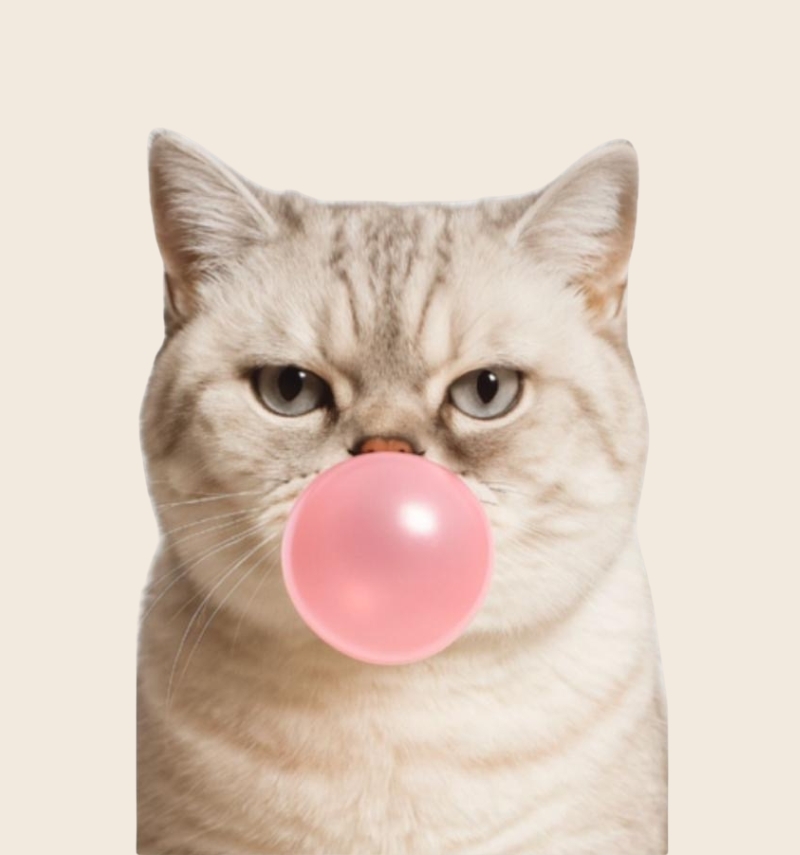 Régine : "je ne suis pas à...